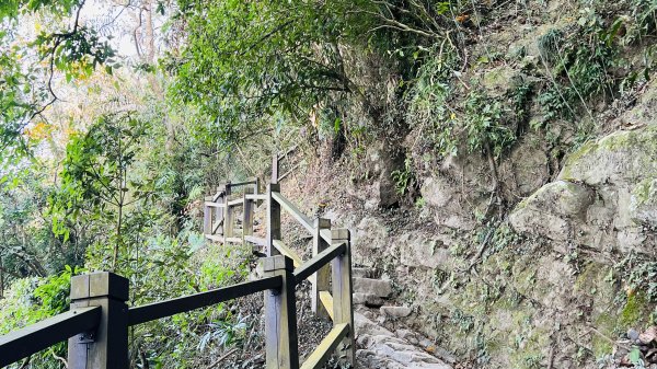 [台南東山]崁頭山步道|林蔭巨石木棧道視野遼闊的親子簡單輕鬆步道|優雅竹林圍繞三角點清幽野餐1603465