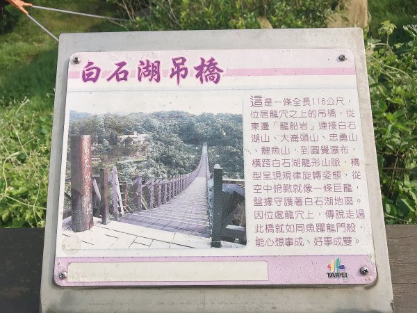~  臺北大縱走  第五段  ~1335013