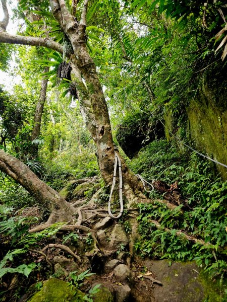 都蘭山-小百岳#93-台東縣東河鄉2779398