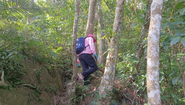 (姨婆趴趴走)第四十六集:新竹關西赤柯山及南峰、東西獅頭山、馬福山環狀縱走2685737