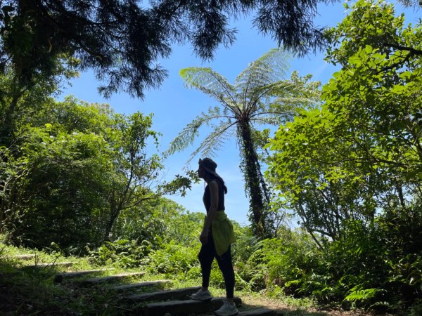 1140531姜子寮山。泰安瀑布。潮境公園2800958