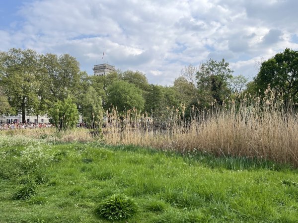 2025_0427 倫敦馬拉松順遊西歐 D9a(起點和終點)2794432