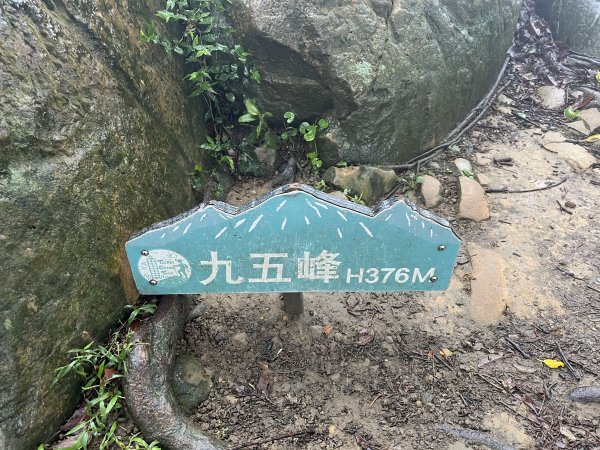 九五峰1874809