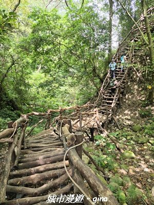 【台中北屯】大坑1號步道3095062
