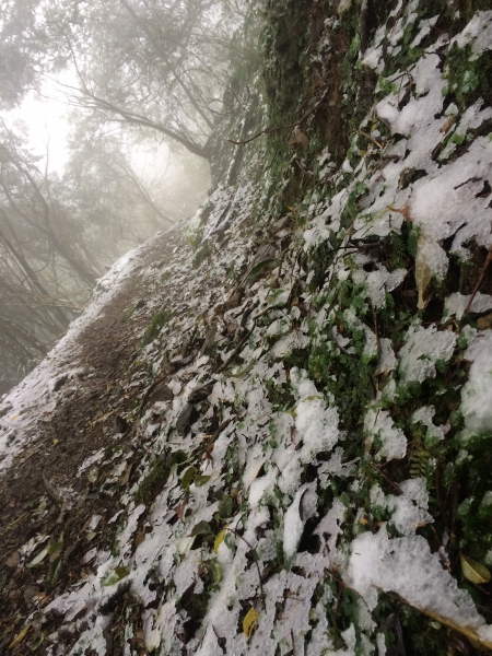 山岳之美 塔曼踏雪8429