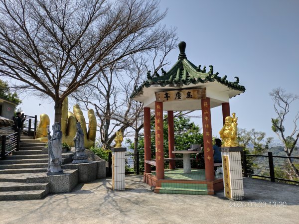 20250309 南觀音山步道 & 青春嶺2731489