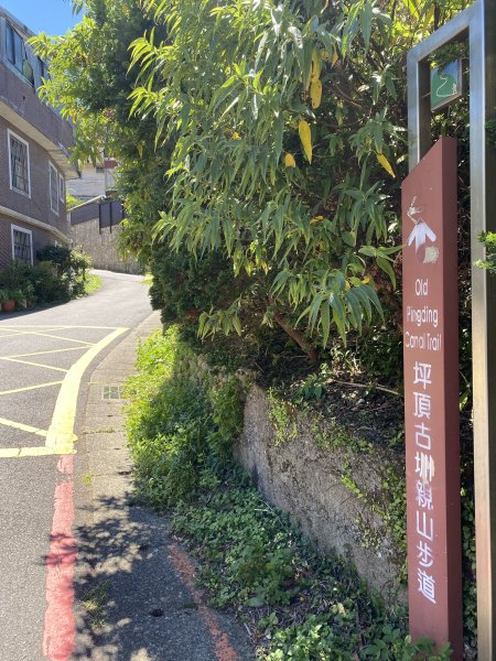 內雙溪的消暑密碼｜走一趟坪頂古圳就懂2873098