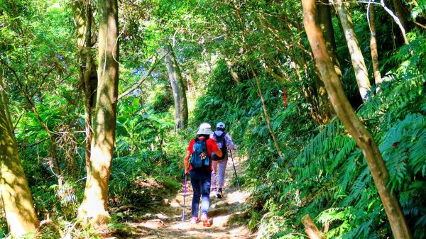 桃園石門山2916124