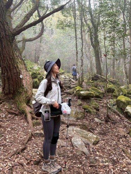 2026/02/08馬崙山3008164