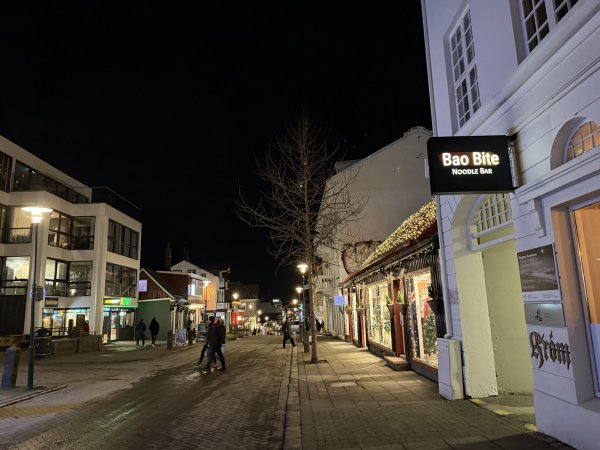 [紐約馬之行-23] 2025_1104 晚上的彩虹街2946799