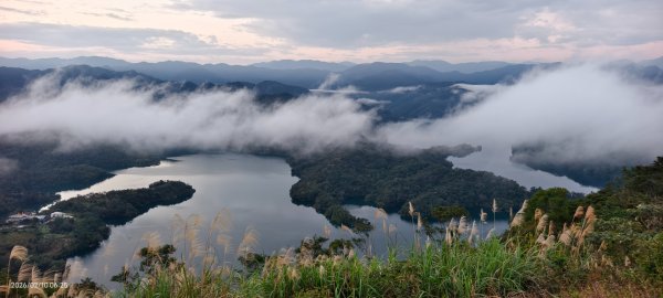 跟著雲海達人山友追雲趣 #鱷魚島 #日出 #雲海 #斜射光 2/102995963