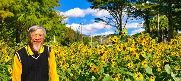 #花卉試驗中心 #永公路500巷 #平菁街42巷 #原住民公園 #士林官邸 1/42976521