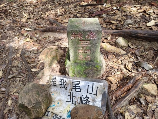 2026/02/18-屋我尾山步道（大雪山林道來回）3005103