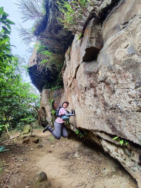 南雅山-門牙岩-鐵達尼岩-海園古道-鼻頭角3040483