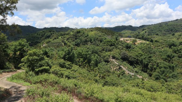 澀水森林步道登山健行趣(步道)2259795