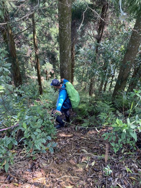 竹林越野障礙挑戰~麥樹仁山縱走六畜山1651097