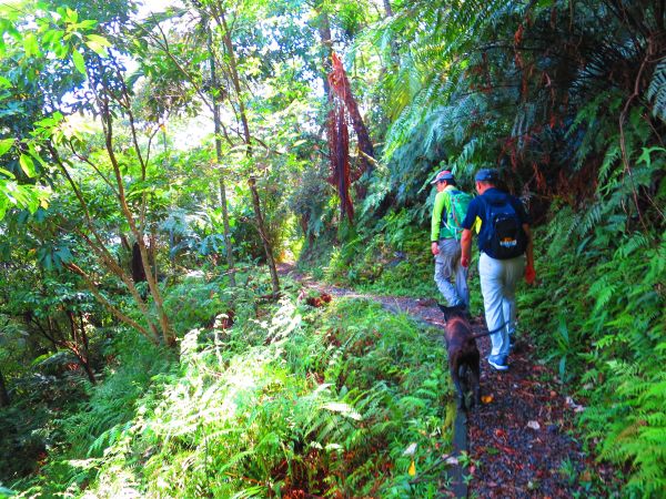 三峽朝聖之路:白雞山行修宮至紫微天后宮373607