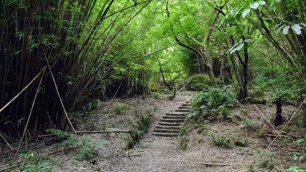 八煙,擎天崗,冷水坑2217986