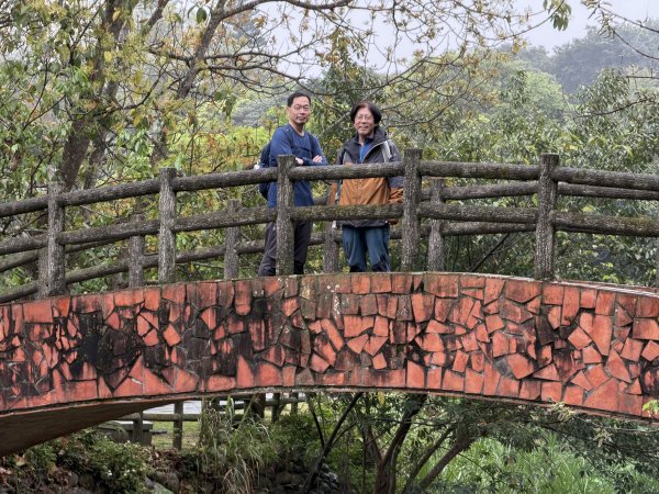 [樟之細路_第一大段RSA01] 2026_0329 清水坑溪景觀3026609