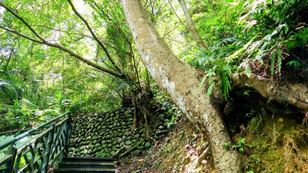 微笑山線和美山螢火蟲段2845896