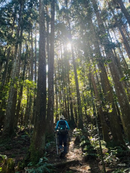 1141116油羅山2946429