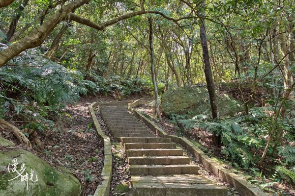 台北｜大崙頭尾山親山步道｜撰風旅食1654514