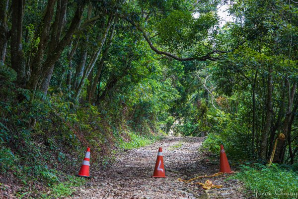 [高雄]網子山、鳴海下山、鳴海山2585501