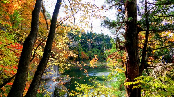 福島縣塔之斷崖2930293