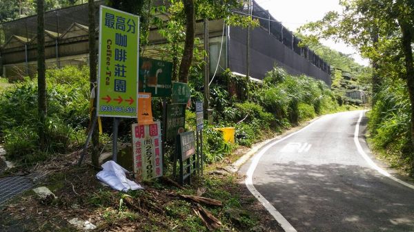 梨子腳山與太平山（小百岳）153205