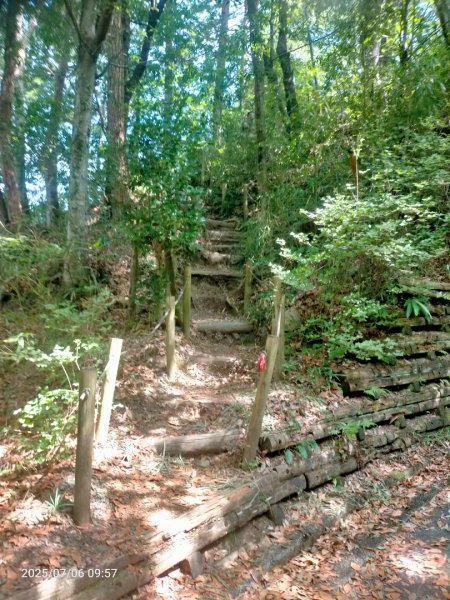 名古屋:郡上八幡城2827868
