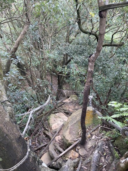 大湖翠湖金龍湖2711903