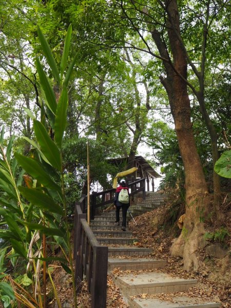 台中東勢軟埤坑天梯O步道20200229857581