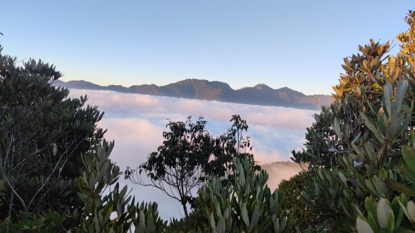 惠蓀大O聖逆走二部曲  2024年12月29日2679253