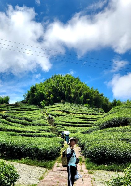 【中級山縱走】雲嘉八連峰（後棟仔山，大尖山，二尖山，馬鞍山，梨子腳山，太平山，大巃頂山及其西北峰）2821122