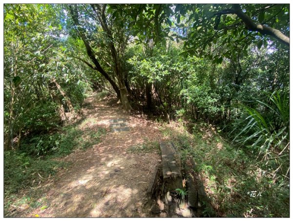 金龍湖、鷹石尖、老鷲尖、內溝山 O型一圈2966608