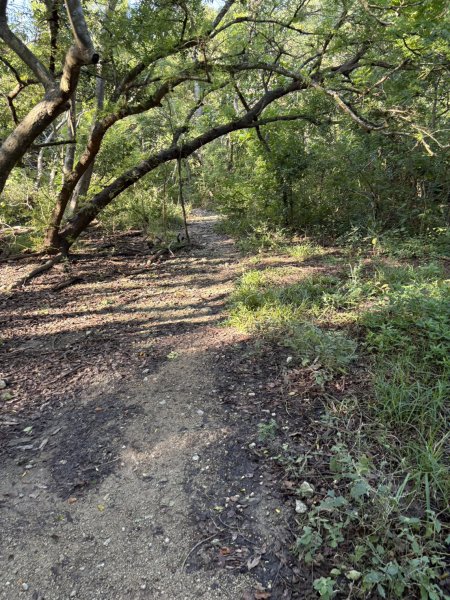 20251115壽山步道(元亨寺免費停車啟登)2938474