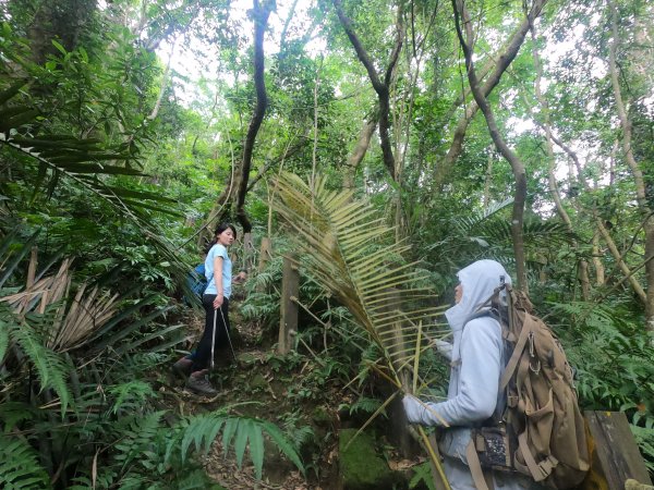 打牛崎古道_原始山徑之美615567