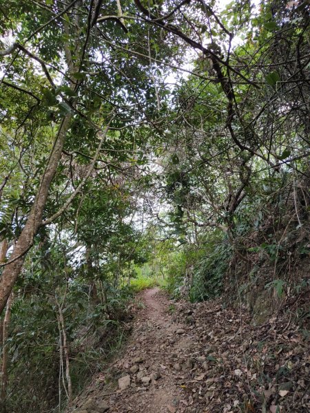 2023.11.30 九份二山2677675