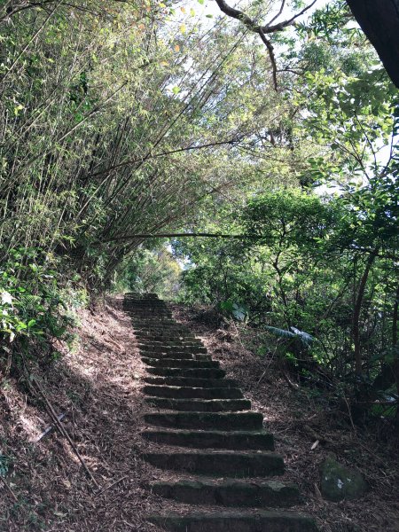 ~ 中 正 山 步 道 ~2782713