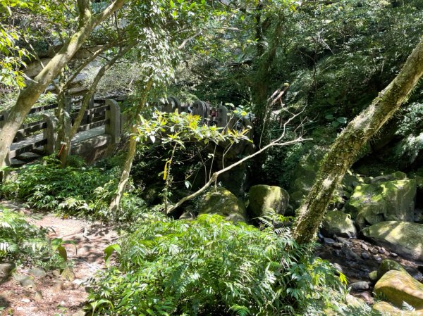 新北｜瑞芳．雙溪 淡蘭古道中路．暖東舊道（TK2-1~2-5 暖東峽谷步道、暖東舊道、五分山步道）2004151