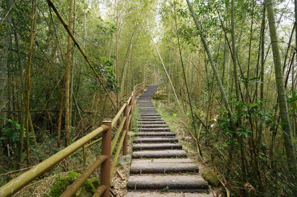 嘉義 梅山 太平山、梨子腳山、馬鞍山、二尖山、大尖山、碧湖山2748981