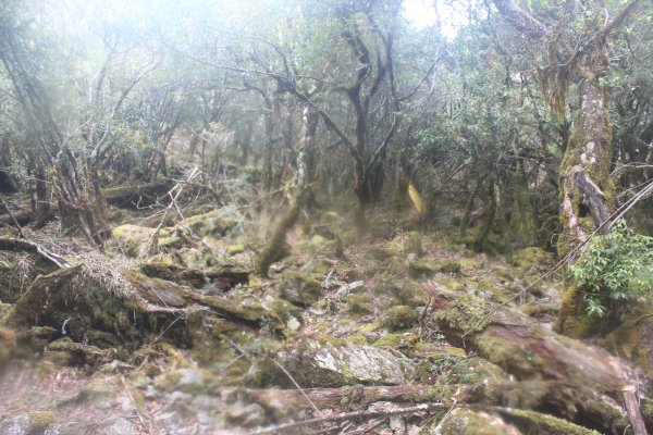 20240210高雄斯拉巴庫山2431568