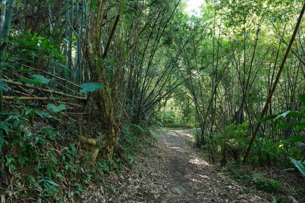 新北 汐止 學頭坡山、老鷲尖山、水尾潭山、內溝山2603820