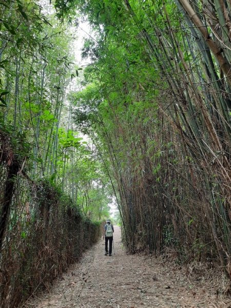 《台中》后里鳳凰山觀音山步道O巡08301083677