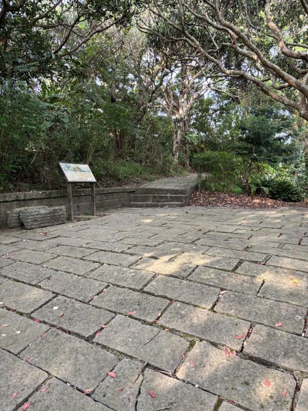 觀音山硬漢嶺 22899086