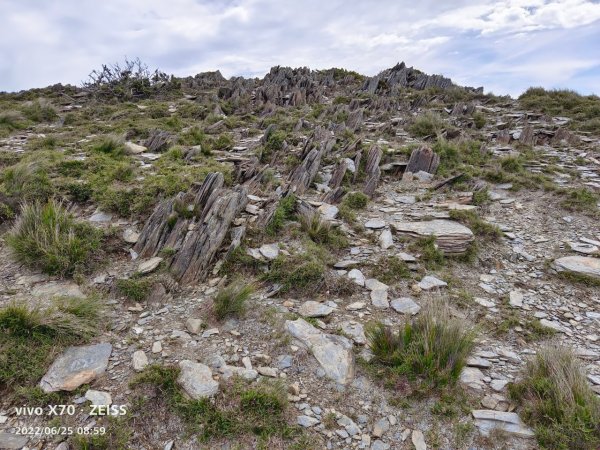 20220625台東海端向陽山、向陽山北峰、三叉山、嘉明湖1745314