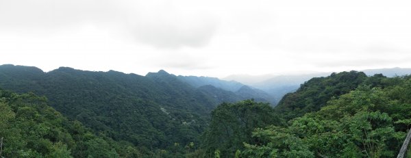 二格山登山步道(栳寮線)1703294