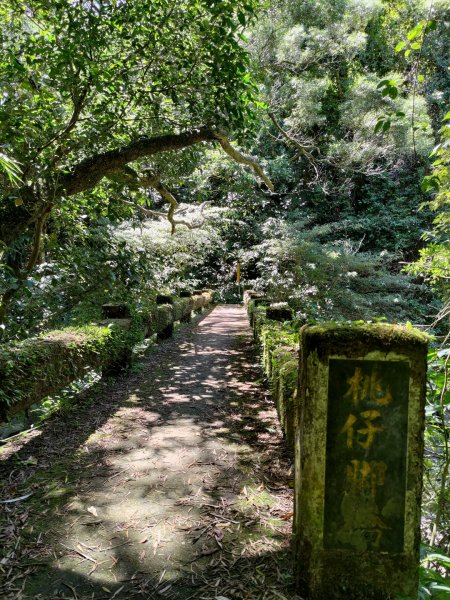 【台北市士林區】坪頂古圳步道2303572