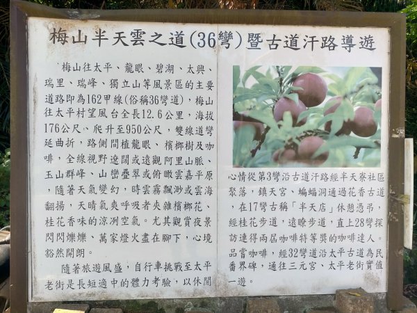 梅山半天雲之道暨古道汗路3060802