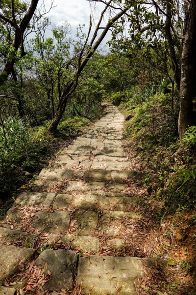 大崙頭尾山｜小百岳2756500